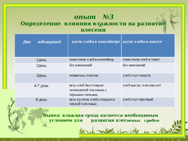 Лабораторная работа 5 класс биология наблюдение