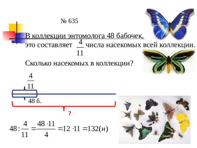 № 635 В коллекции энтомолога 48 бабочек, это составляет числа насекомых всей коллекции. Сколько насекомых в коллекции? 48 б. ? 