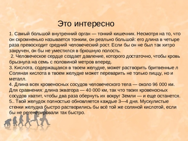 Это интересно 1. Самый большой внутренний орган — тонкий кишечник. Несмотря на то, что он скромненько называется тонким, он реально большой: его длина в четыре раза превосходит средний человеческий рост. Если бы он не был так хитро закручен, он бы не уместился в брюшную полость.  2. Человеческое сердце создает давление, которого достаточно, чтобы кровь брызнула на семь с половиной метров вперед. 3. Кислота, содержащаяся в твоем желудке, может растворить бритвенные л Соляная кислота в твоем желудке может переварить не только пиццу, но и металл. 4. Длина всех кровеносных сосудов человеческого тела — около 96 000 км. Для сравнения: длина экватора — 40 000 км, так что твоих кровеносных сосудов хватит, чтобы два раза обернуть их вокруг Земли — и еще останется. 5.. Твой желудок полностью обновляется каждые 3—4 дня. Мускулистые стенки желудка быстро растворились бы всё той же соляной кислотой, если бы не регенерировали так быстро. 