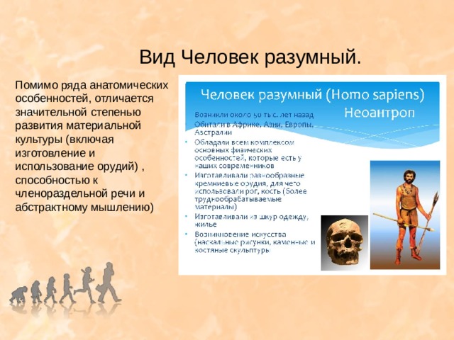 Homo означает. Вид человек разумный. Вид человек разумный признаки. Вид человек разумный (homo sapiens). Человек разумный характеристика.