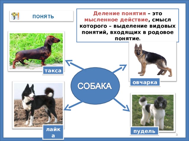 Это схема обобщения понятия собака нарисуй на схеме стрелки в нужном направлении ответ