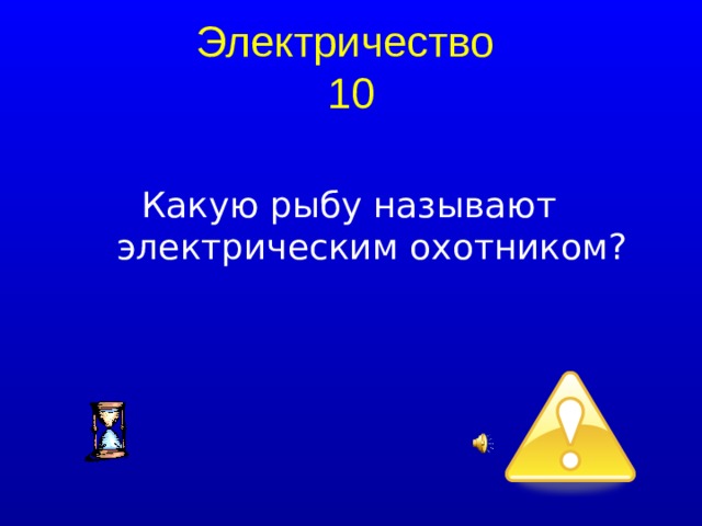 Электричество  10 Какую рыбу называют электрическим охотником?  