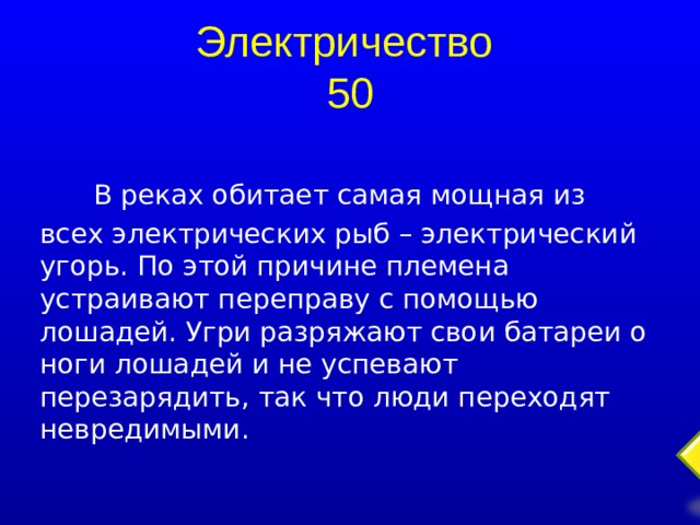 Электричество  50   В реках обитает самая мощная из всех электрических рыб – электрический угорь. По этой причине племена устраивают переправу с помощью лошадей. Угри разряжают свои батареи о ноги лошадей и не успевают перезарядить, так что люди переходят невредимыми.  