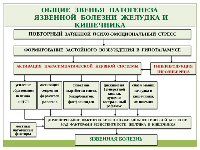 Патогенез язвенной болезни желудка схема