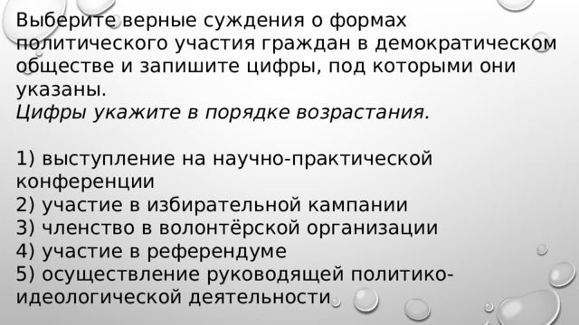 Выборы как форма политического участия граждан план