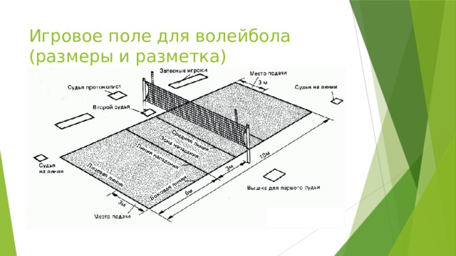 Игровое поле для волейбола (размеры и разметка) 