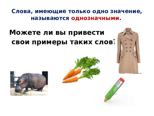 Слова, имеющие только одно значение, называются однозначными . Можете ли вы привести  свои примеры таких слов? 