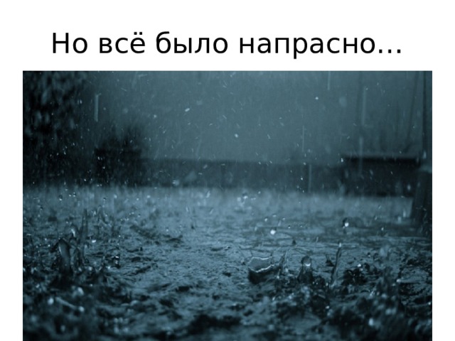 Но всё было напрасно… 