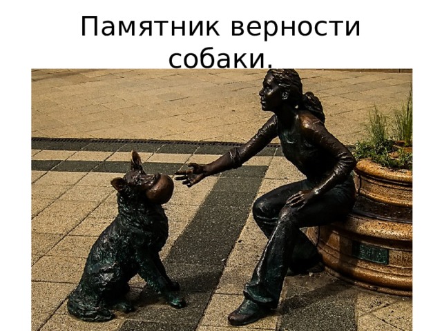 Памятник верности собаки. 