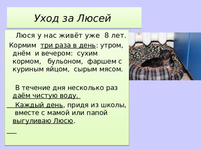 Придя из школы семиклассник костя обнаружил на компьютере оставленный старшим братом незакрытый файл