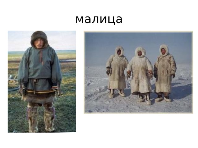 малица 