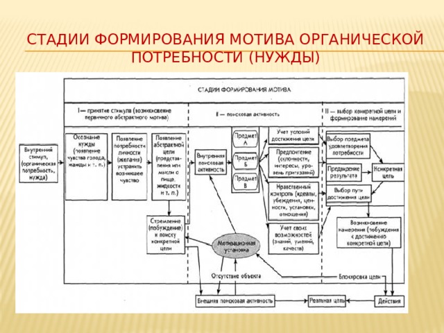 Этапы формирования деятельности. Этапы формирования мотива по е п Ильину. Этапы формирования мотивации. Стадии формирования мотива. Этапы развития мотивов.