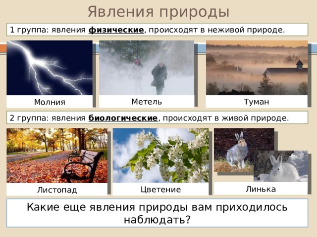 Физика в живой и неживой природе презентация