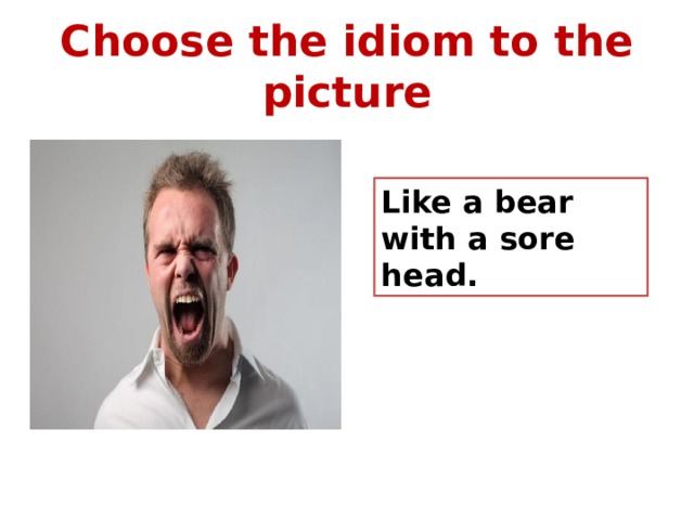 Choose the idiom to the picture Like a bear with a sore head. 