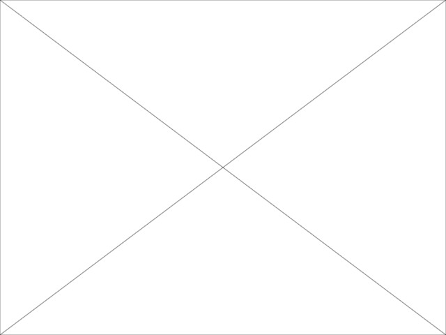 Анимация фотоэффекта Флеш 