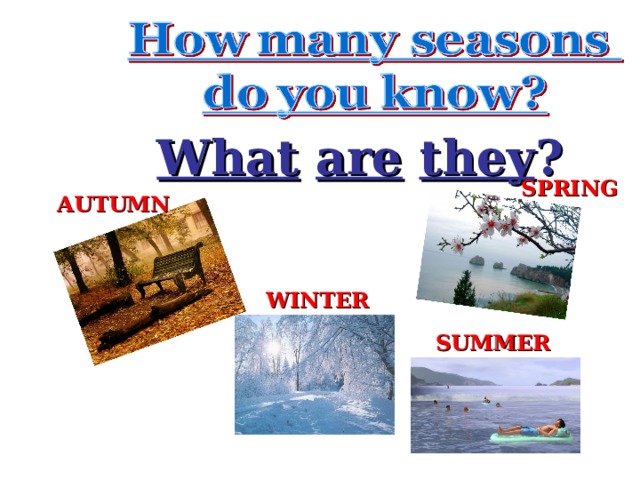 What  are  they ? SPRING AUTUMN WINTER SUMMER 