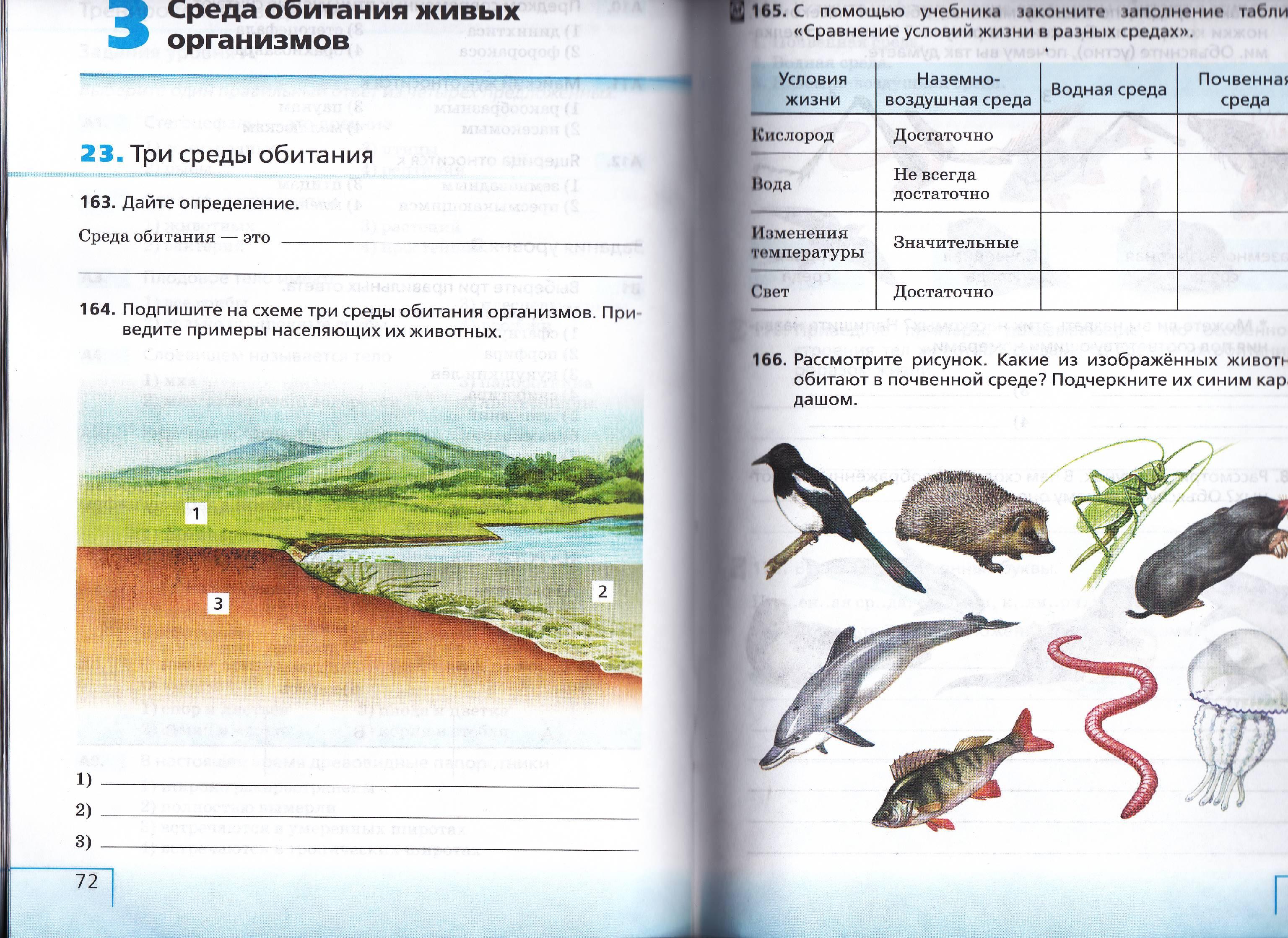 Среды обитания организмов 5 класс биология