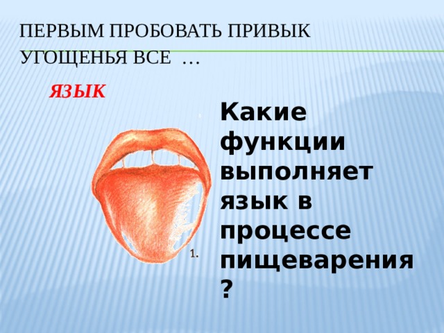 Язык выполняет функции