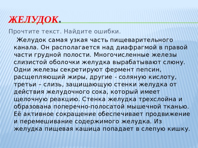 Желудок . Прочтите текст. Найдите ошибки.  Желудок самая узкая часть пищеварительного канала. Он располагается над диафрагмой в правой части грудной полости. Многочисленные железы слизистой оболочки желудка вырабатывают слюну. Одни железы секретируют фермент пепсин, расщепляющий жиры, другие - соляную кислоту, третьи – слизь, защищающую стенки желудка от действия желудочного сока, который имеет щелочную реакцию. Стенка желудка трехслойна и образована поперечно-полосатой мышечной тканью. Её активное сокращение обеспечивает продвижение и перемешивание содержимого желудка. Из желудка пищевая кашица попадает в слепую кишку. 