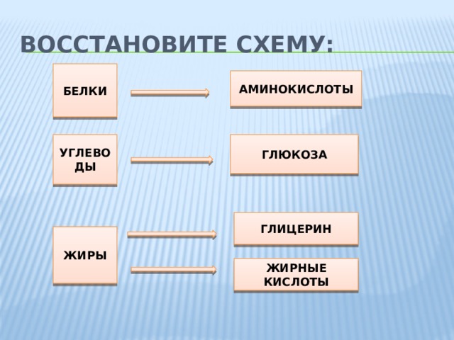 Белка схема 1 класс слова