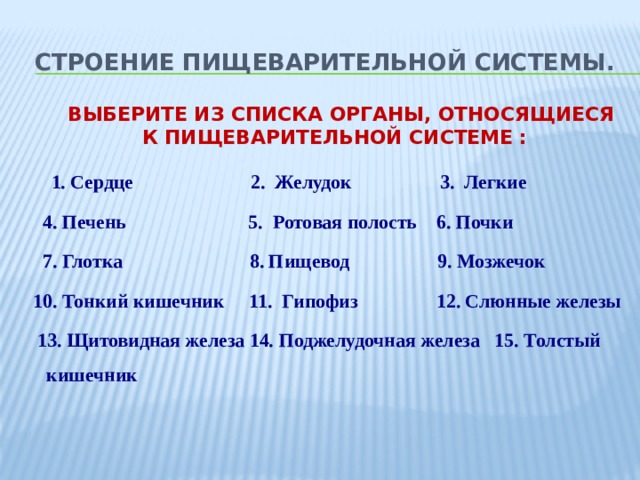 Строение пищеварительной системы.  ВЫБЕРИТЕ ИЗ СПИСКА ОРГАНЫ, ОТНОСЯЩИЕСЯ К ПИЩЕВАРИТЕЛЬНОЙ СИСТЕМЕ :  1. Сердце 2. Желудок 3. Легкие  4. Печень 5. Ротовая полость 6. Почки  7. Глотка 8. Пищевод 9. Мозжечок  10. Тонкий кишечник 11. Гипофиз 12. Слюнные железы  13. Щитовидная железа 14. Поджелудочная железа 15. Толстый кишечник 