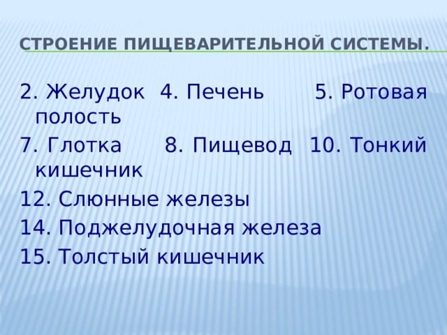 Строение пищеварительной системы. 2. Желудок 4. Печень 5. Ротовая полость 7. Глотка 8. Пищевод 10. Тонкий кишечник 12. Слюнные железы 14. Поджелудочная железа 15. Толстый кишечник 