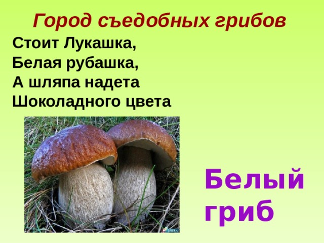 Город съедобных грибов  Стоит Лукашка, Белая рубашка, А шляпа надета Шоколадного цвета Белый гриб 