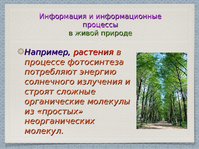 Информация и информационные процессы  в живой природе Например,  растения в процессе фотосинтеза потребляют энергию солнечного излучения и строят сложные органические молекулы из «простых» неорганических молекул. 