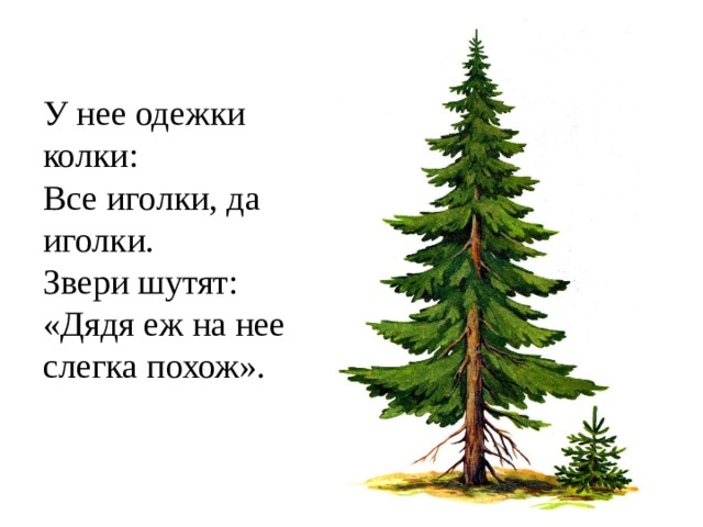 Слегка ея. Что же это за девица не швея не мастерица.