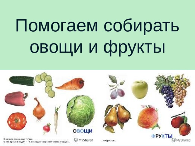 Помогаем собирать овощи и фрукты 