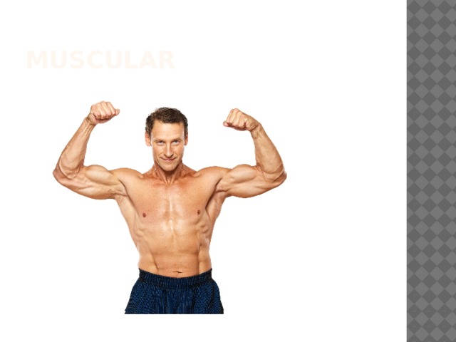 Muscular 