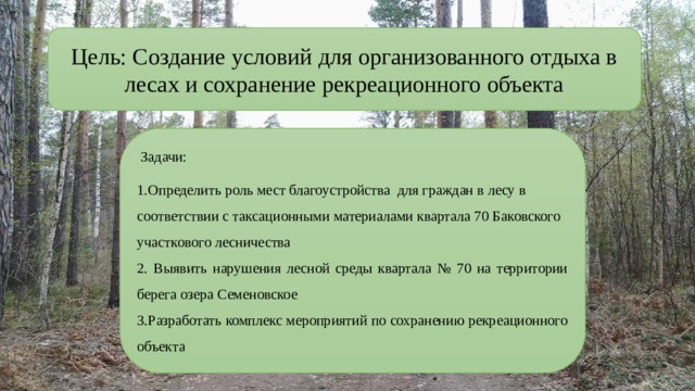 Заявление об использовании лесов в соответствии с проектом освоения лесов называется