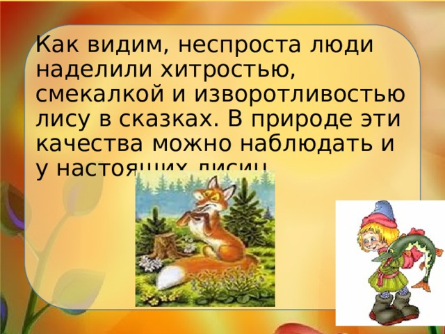 Как видим, неспроста люди наделили хитростью, смекалкой и изворотливостью лису в сказках. В природе эти качества можно наблюдать и у настоящих лисиц.   