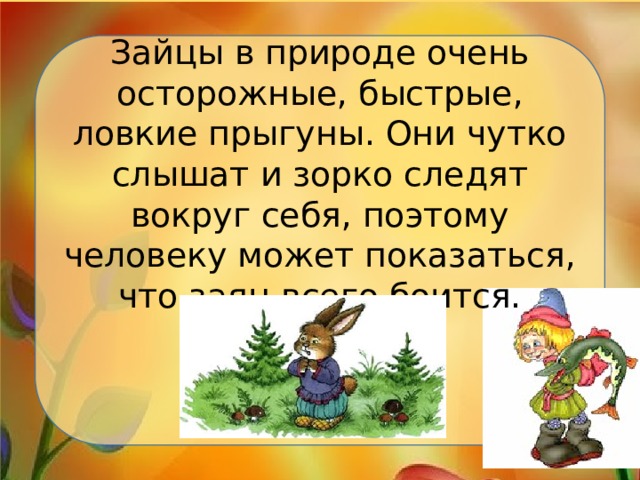 Зайцы в природе очень осторожные, быстрые, ловкие прыгуны. Они чутко слышат и зорко следят вокруг себя, поэтому человеку может показаться, что заяц всего боится.   