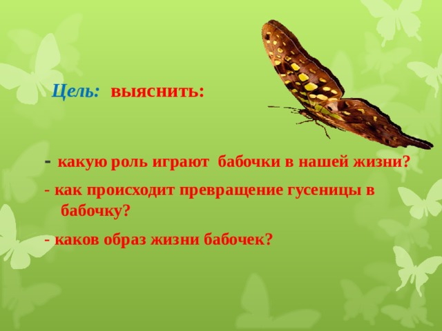 Цель:  выяснить:   - какую роль играют бабочки в нашей жизни? - как происходит превращение гусеницы в бабочку? - каков образ жизни бабочек?  