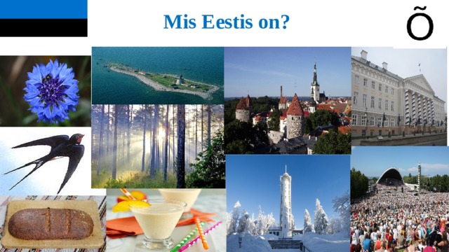  Mis Eestis on? 