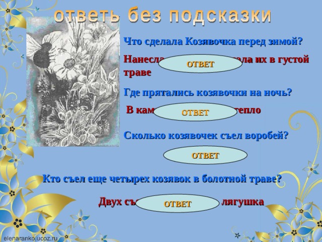 Что сделала Козявочка перед зимой? Нанесла яичек и спрятала их в густой траве ОТВЕТ Где прятались козявочки на ночь? В камышах, где было тепло ОТВЕТ Сколько козявочек съел воробей? ОТВЕТ Целый десяток Кто съел еще четырех козявок в болотной траве? Двух съела рыбка, двух - лягушка ОТВЕТ 