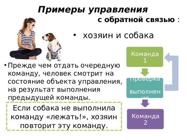 Примеры управления    с обратной связью :  хозяин и собака Команда 1 Прежде чем отдать очередную команду, человек смотрит на состояние объекта управления, на результат выполнения предыдущей команды. Проверка выполнения Если собака не выполнила команду «лежать!», хозяин повторит эту команду. Команда 2 