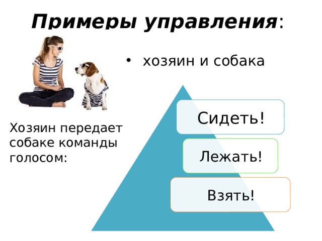 Системы в которых роль управляющего объекта поручается компьютеру называется