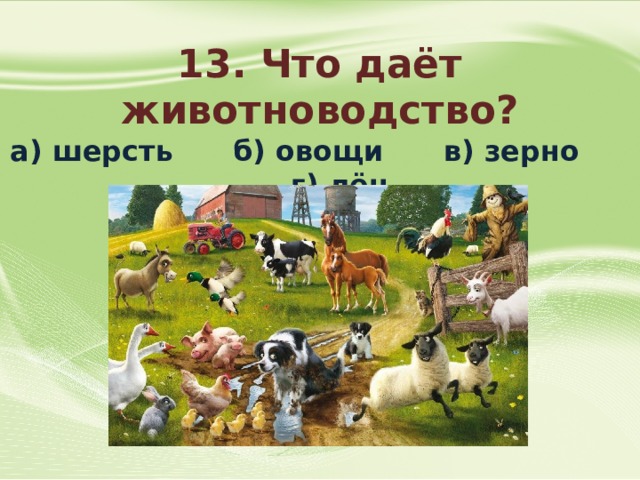 Тест на тему животноводство 3 класс окружающий. Что дает животноводство. Что дает животноводство людям. Что дает животноводство 3 класс. Что дает животноводство людям 3 класс.