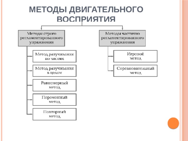 Процесс двигательного восприятия. Методы двигательного восприятия. Методы зрительного восприятия в физическом воспитании.