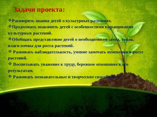 Задача огород. Задачи проекта расширить знания. Цели и задачи проекта огорода на окне. Цель проекта огород на окне. Задачи проекта по выращиванию растений.