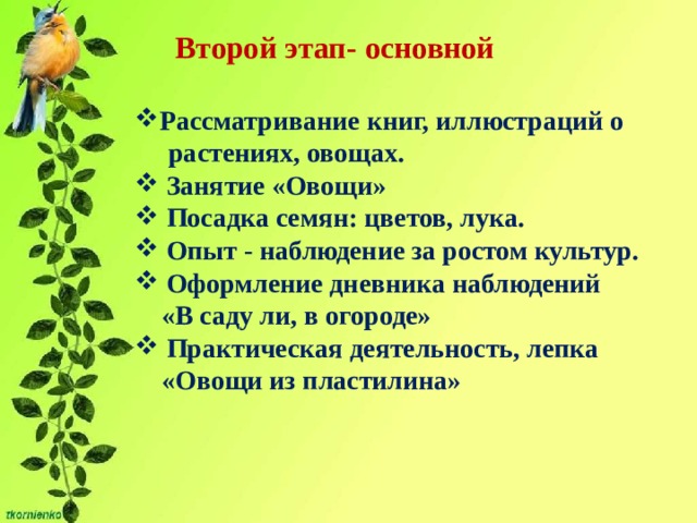 Паспорт проекта огород на окне в старшей группе