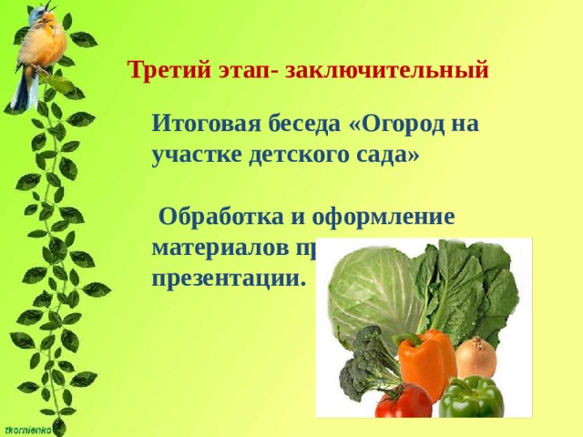 Презентация в средней группе на тему огород на подоконнике