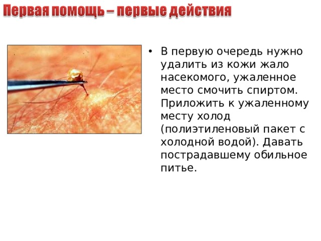 В первую очередь нужно удалить из кожи жало насекомого, ужаленное место смочить спиртом. Приложить к ужаленному месту холод (полиэтиленовый пакет с холодной водой). Давать пострадавшему обильное питье. 