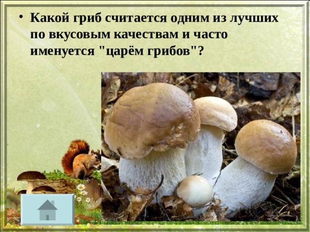 Какой гриб считается одним из лучших по вкусовым качествам и часто именуется 