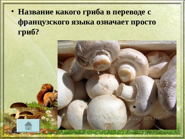Название какого гриба в переводе с французского языка означает просто гриб?   