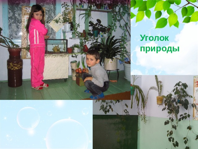 Уголок природы 