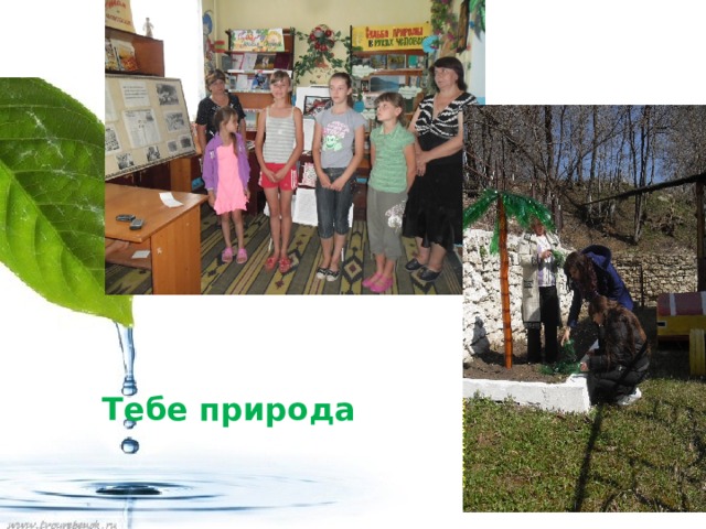 Тебе природа 