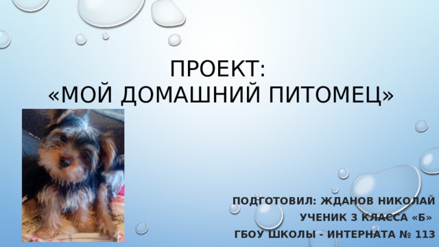 Проект:  «Мой домашний питомец» Подготовил: Жданов Николай ученик 3 класса «Б» ГБОУ Школы - интерната № 113 